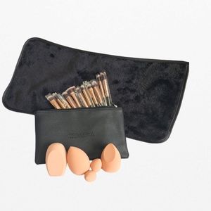 Makeup Brush Application Lot With Bag Sponges And 12in Makeup Remover Cl…